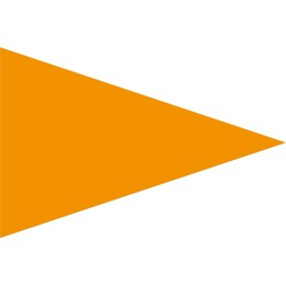 Beach safety flag orange