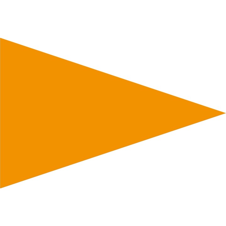 Drapeau sécurite plage orange