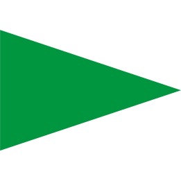 Drapeau sécurite plage vert