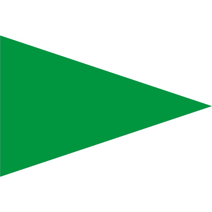 Drapeau sécurite plage vert