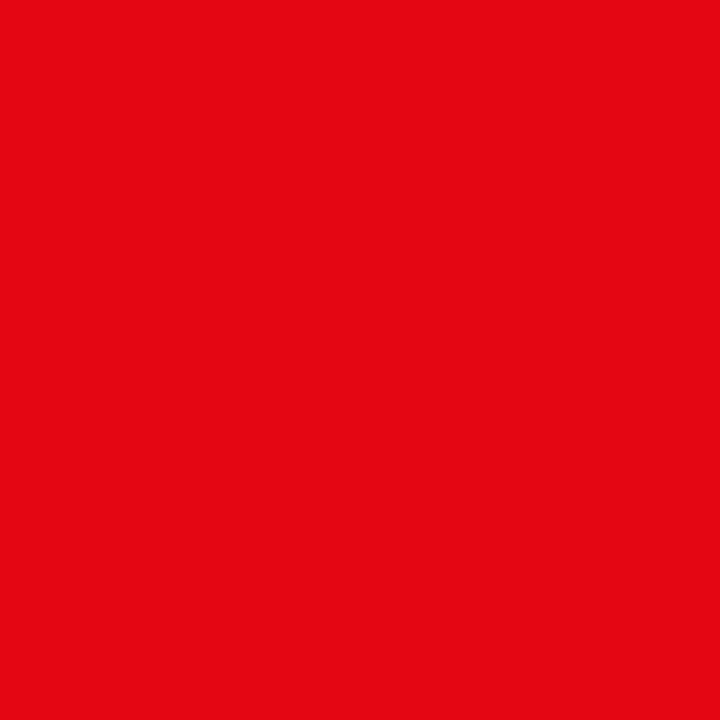 Drapeau sécurite plage rouge