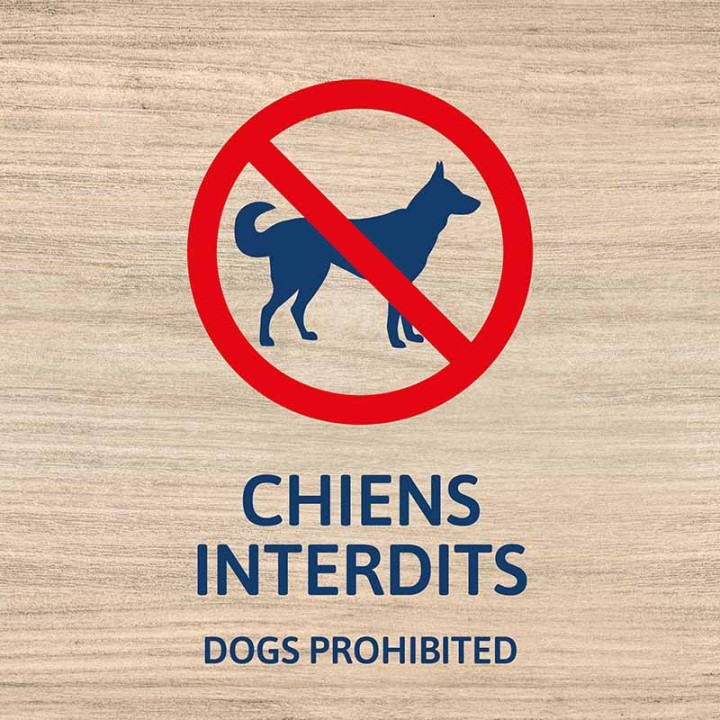 Chiens interdits