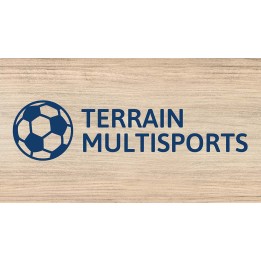 Multi-sports field