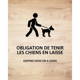 Chiens en laisse